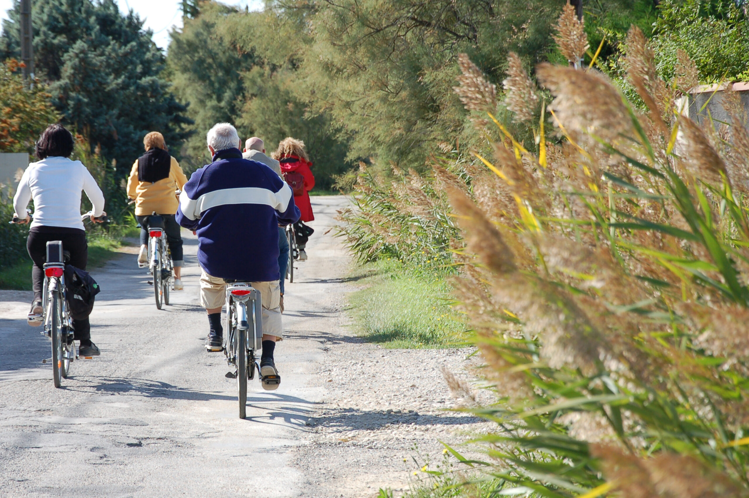 Balade au coeur du Parc de Camargue entre agriculture et biodiversité